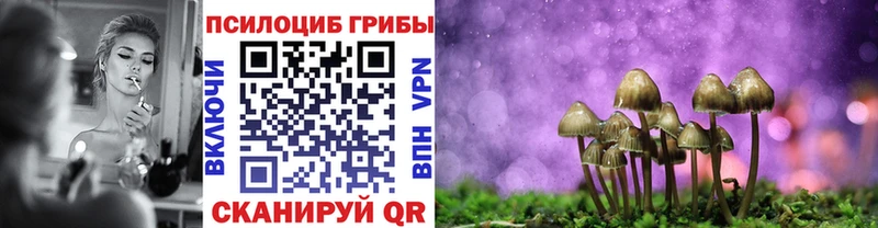 мега как войти  Будённовск  Галлюциногенные грибы мицелий 