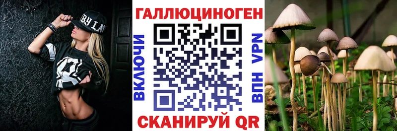 Псилоцибиновые грибы Magic Shrooms Будённовск